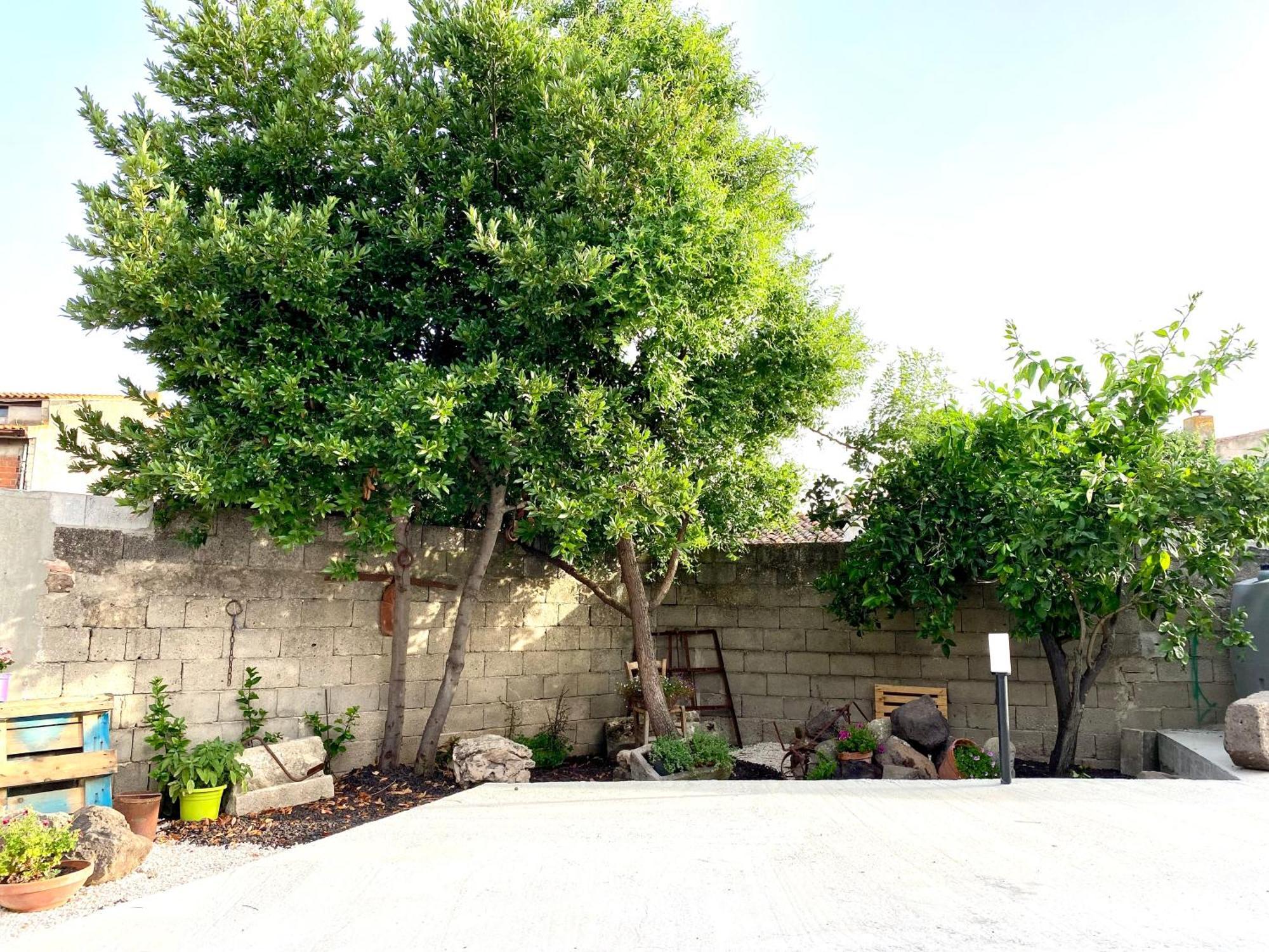 Apartament Casa Meli San Vero Milis Zewnętrze zdjęcie
